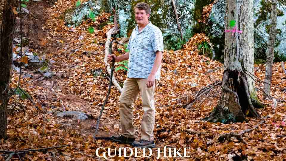 Guided hike