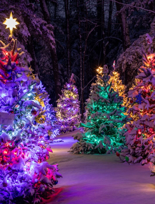 Trail of Lights home Trail of Lights home