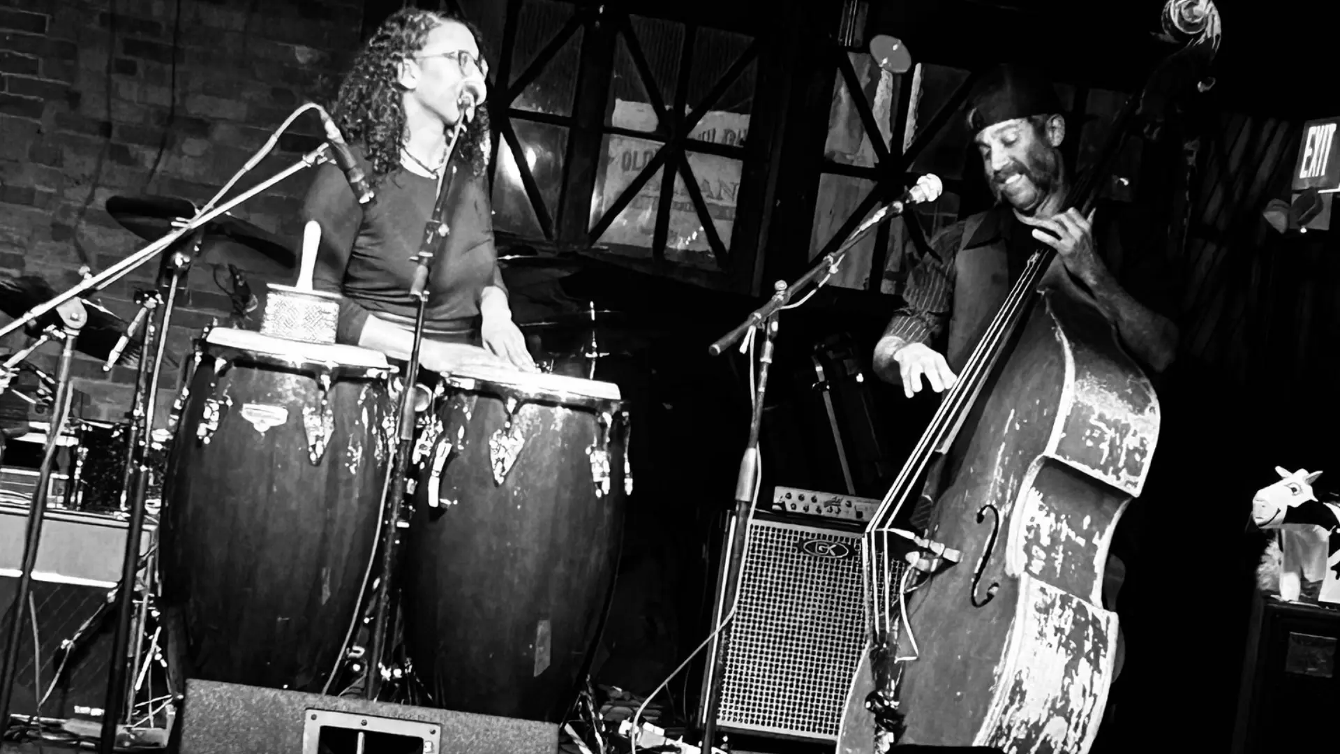 Francine and the Scene performing live at Artisanal Brew Works in Saratoga Springs, NY